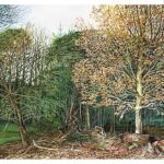 Little Chalfont Nature Park. Watercolour